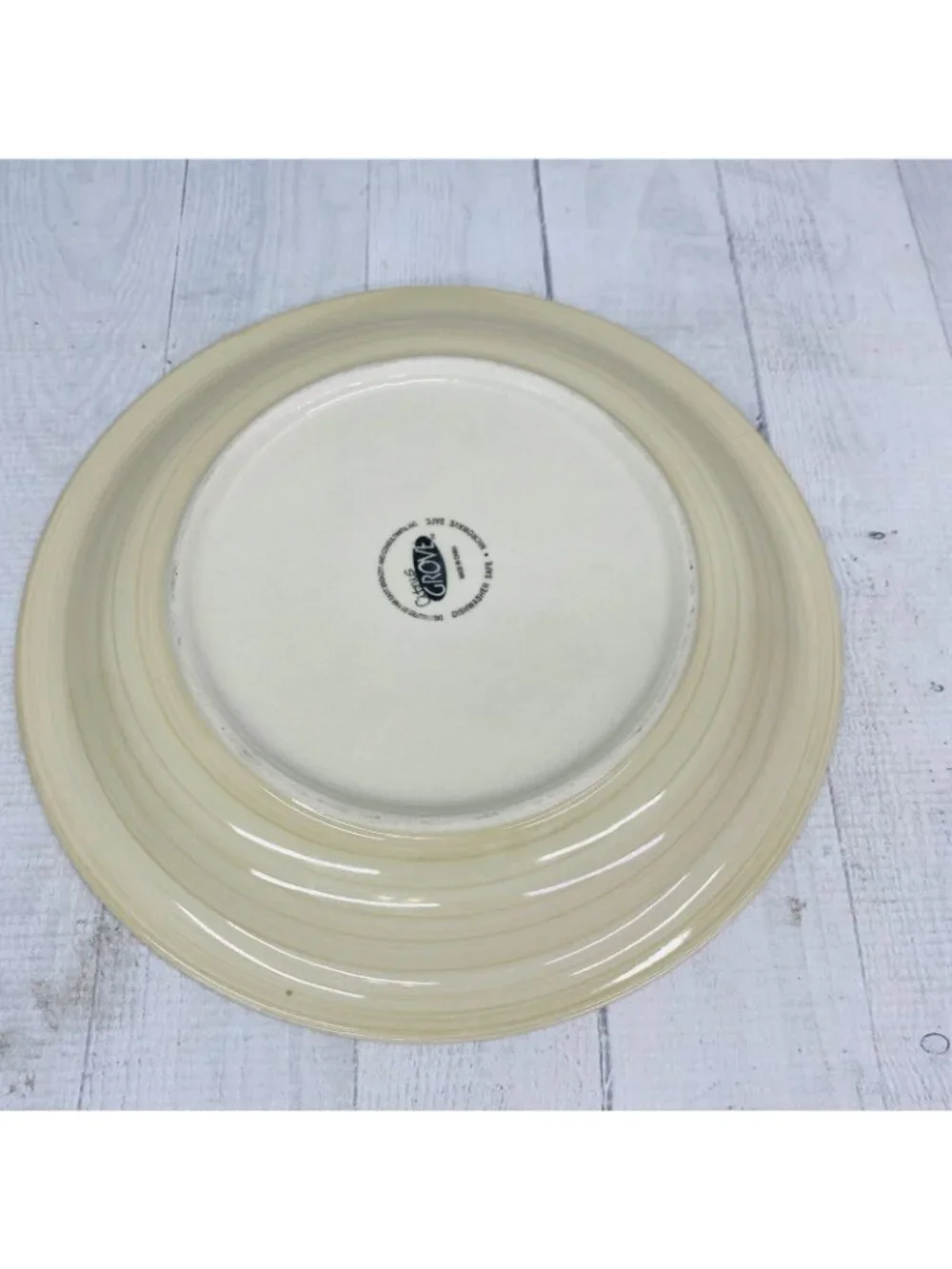 Citrus Grove BEIGE SANDSTONE SWIRL Hand Paint Stoneware Dinner Plates Set Of 4